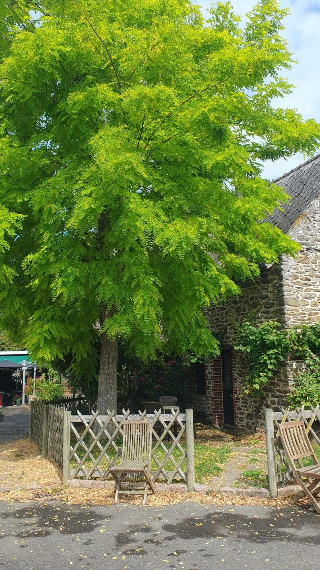 L'Auberge De La Porte Saint-Jouan-des-Guérets Exterior foto