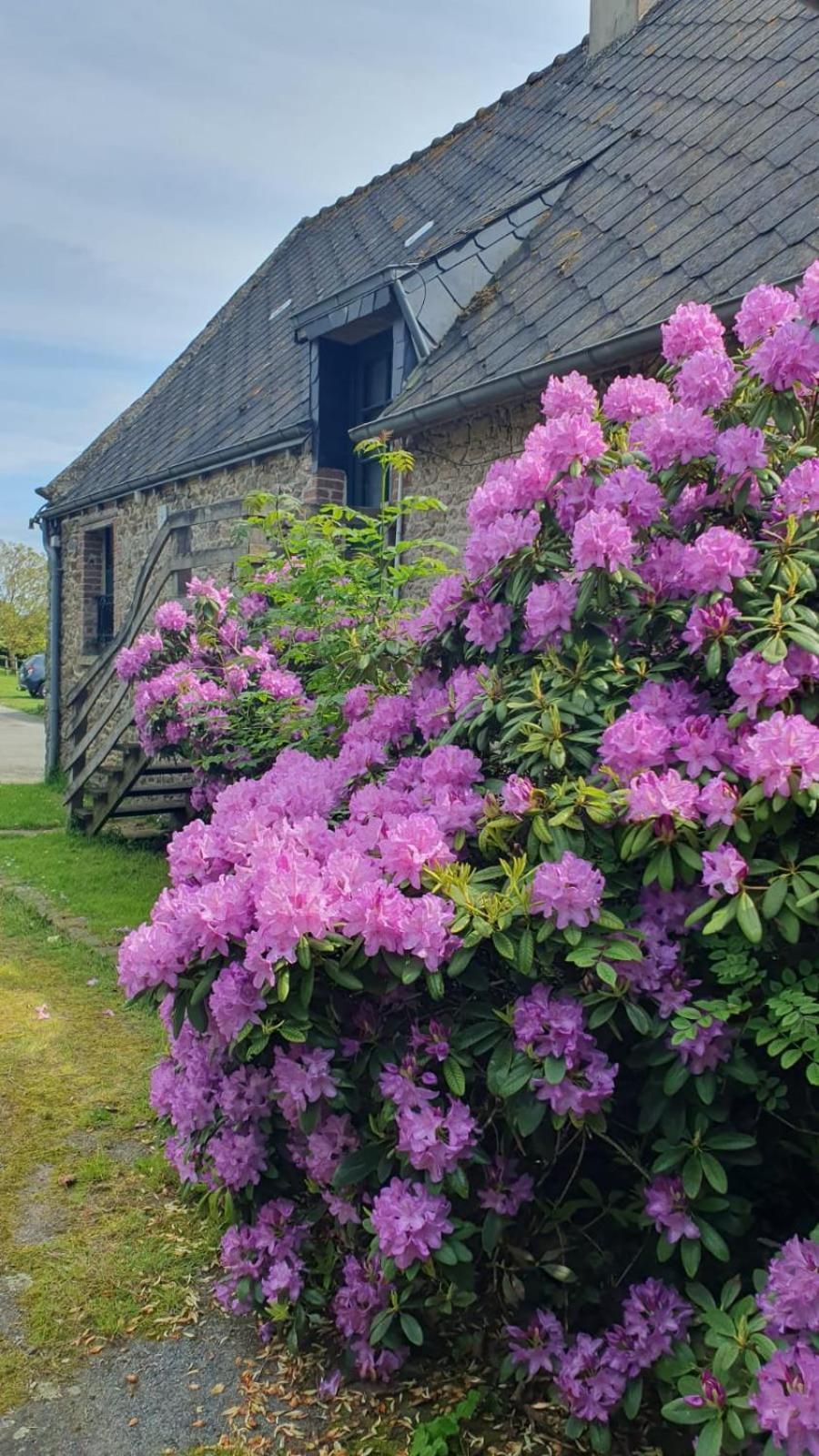 L'Auberge De La Porte Saint-Jouan-des-Guérets Exterior foto